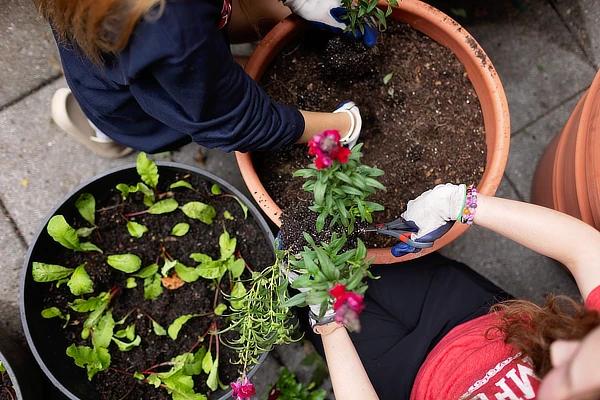 Students Planting Seeds In Wellness Garden